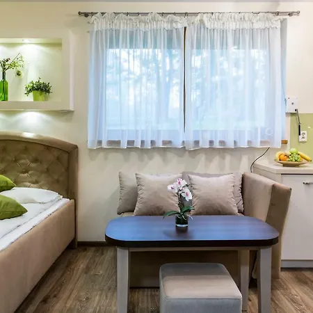 Krupowki Centrum Apartamento Zakopane