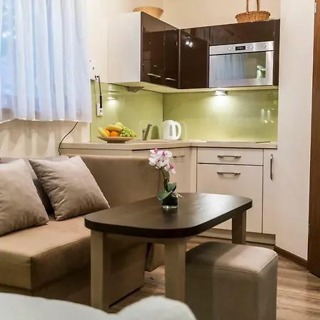 Apartamento Krupowki Centrum